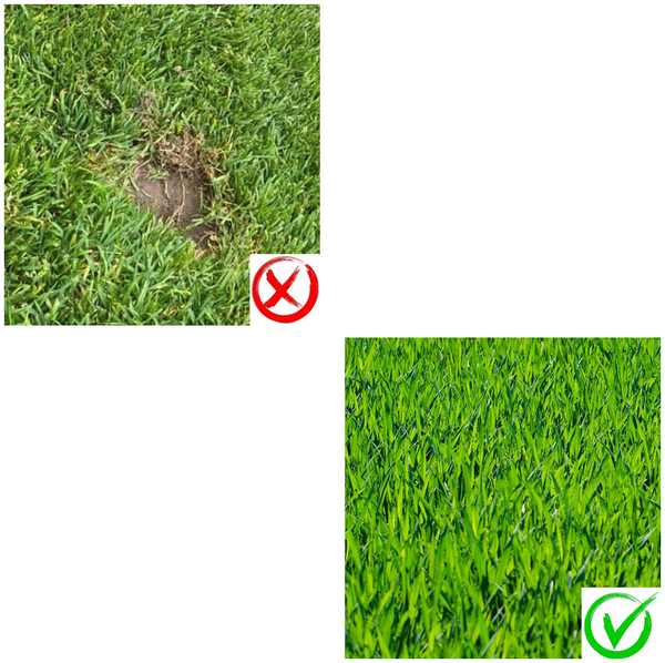 beos® Edelstahl Spikes